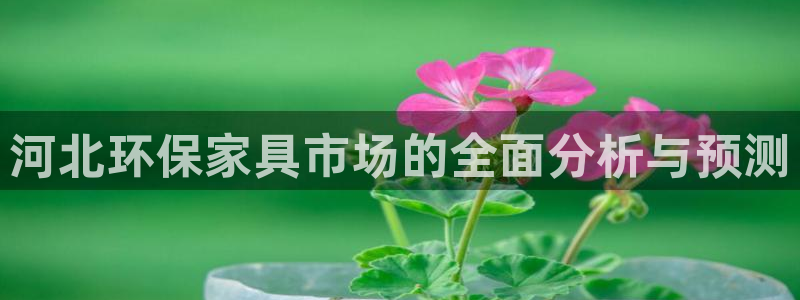 沐鸣2官网登陆：河北环保家具市场的全面分析与预测
