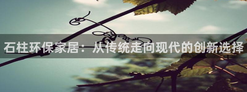 沐鸣2注册登录：石柱环保家居：从传统走向现代的创新选择