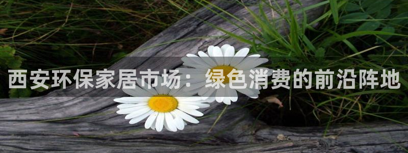 沐鸣2登入测速：西安环保家居市场：绿色消费的前沿阵地