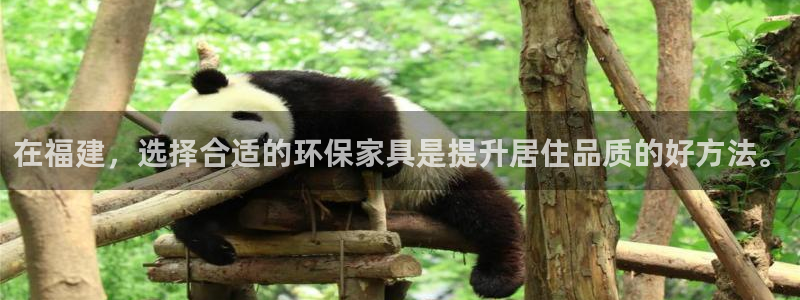 沐鸣2平台登录网址：在福建，选择合适的环保家具是提升居住品质