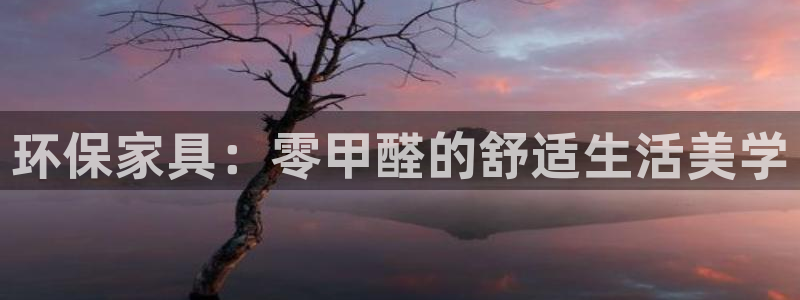 沐鸣2app怎样申请：环保家具：零甲醛的舒适生活美学