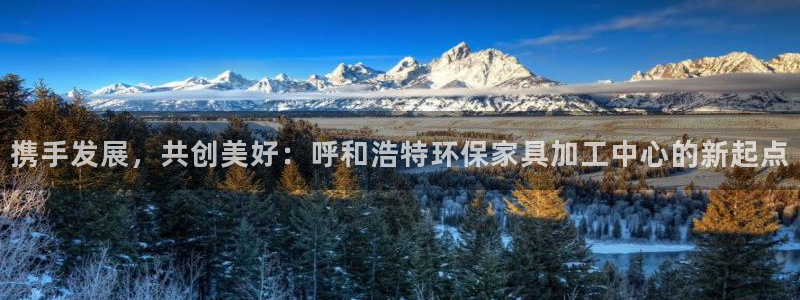 沐鸣2官网网站中心：携手发展，共创美好：呼和浩特环保家具加工