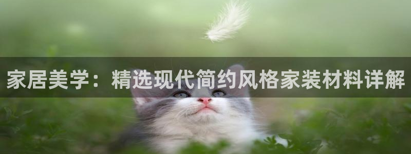 沐鸣2平台官网：家居美学：精选现代简约风格家装材料详解