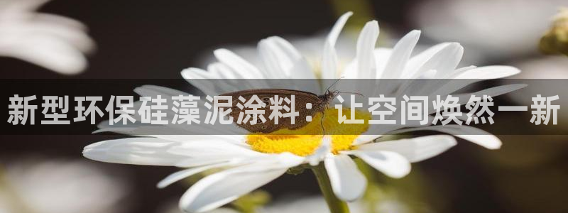 沐鸣2测速注册：新型环保硅藻泥涂料：让空间焕然一新