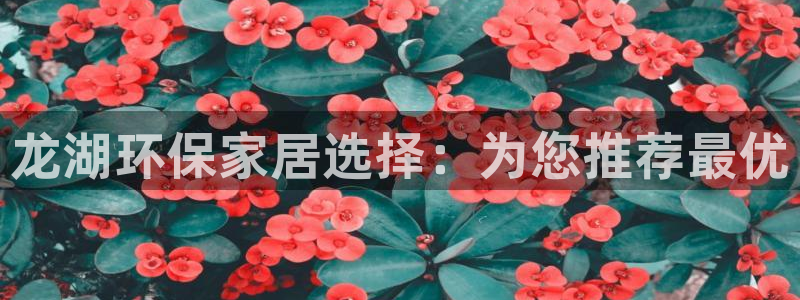 沐鸣2代理日工资多少：龙湖环保家居选择：为您推荐最优